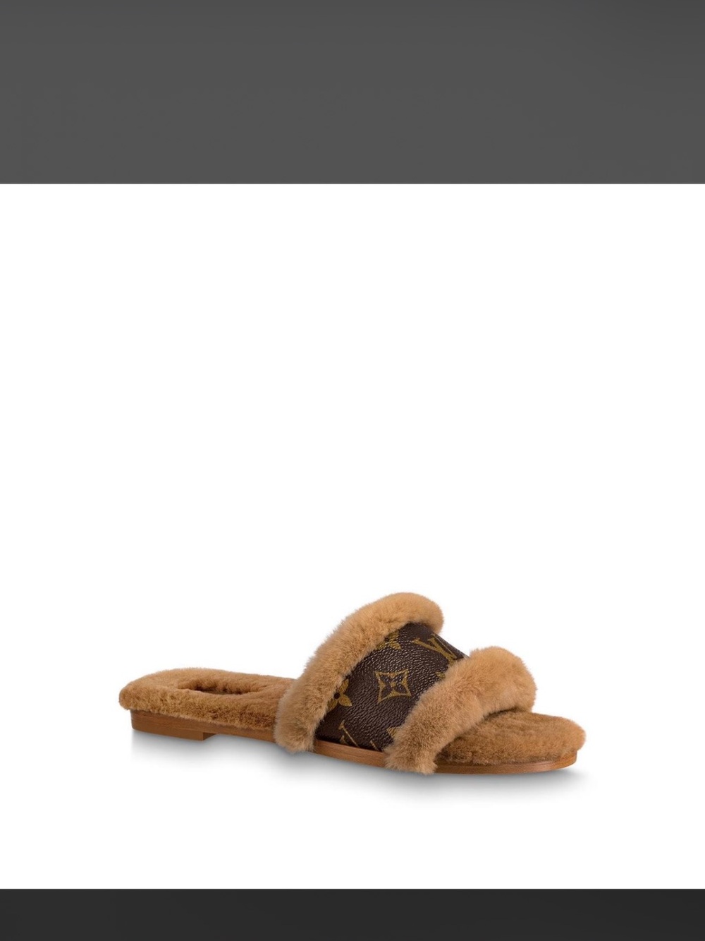 Louis Vuitton Brown Monogram Fur-Trim Slide